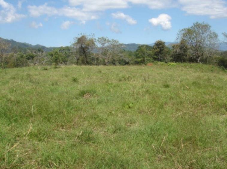 Volcano views and river on 3 hectare land in Atenas, Sabana Larga