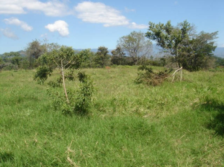 Volcano views and river on 3 hectare land in Atenas, Sabana Larga