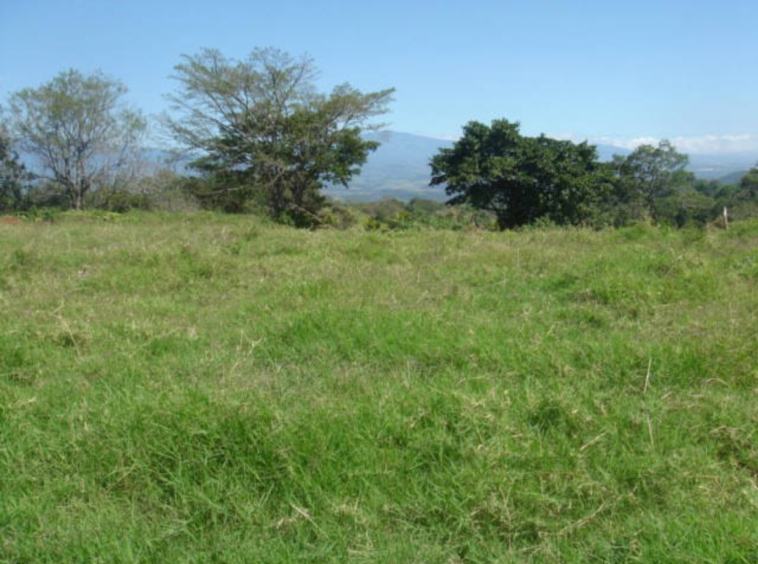 Volcano views and river on 3 hectare land in Atenas, Sabana Larga