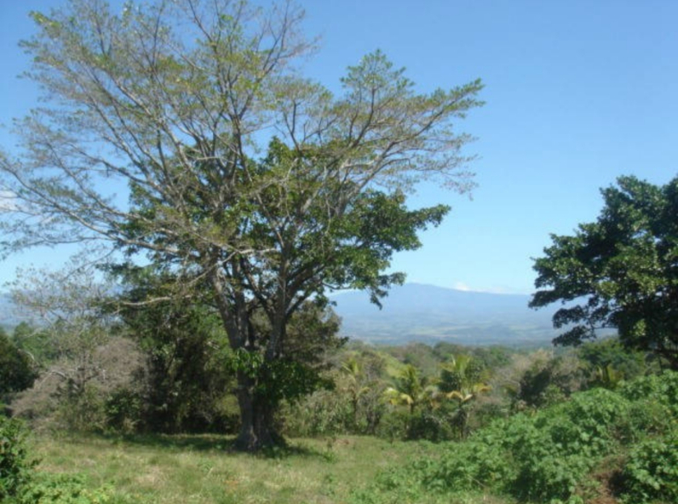 Volcano views and river on 3 hectare land in Atenas, Sabana Larga