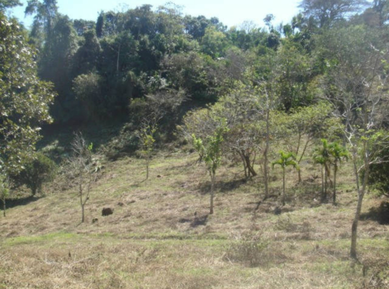 Volcano views and river on 3 hectare land in Atenas, Sabana Larga